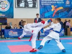 Более 250 спортсменов приняли участие в первенстве и чемпионате Нижегородской области по карате