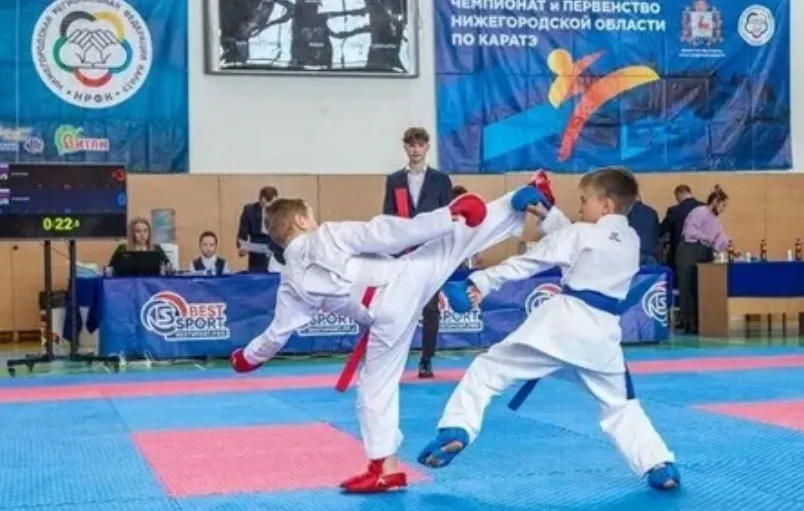 Более 250 спортсменов приняли участие в первенстве и чемпионате Нижегородской области по карате