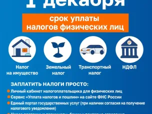 Не забудьте оплатить имущественные налоги до 1 декабря