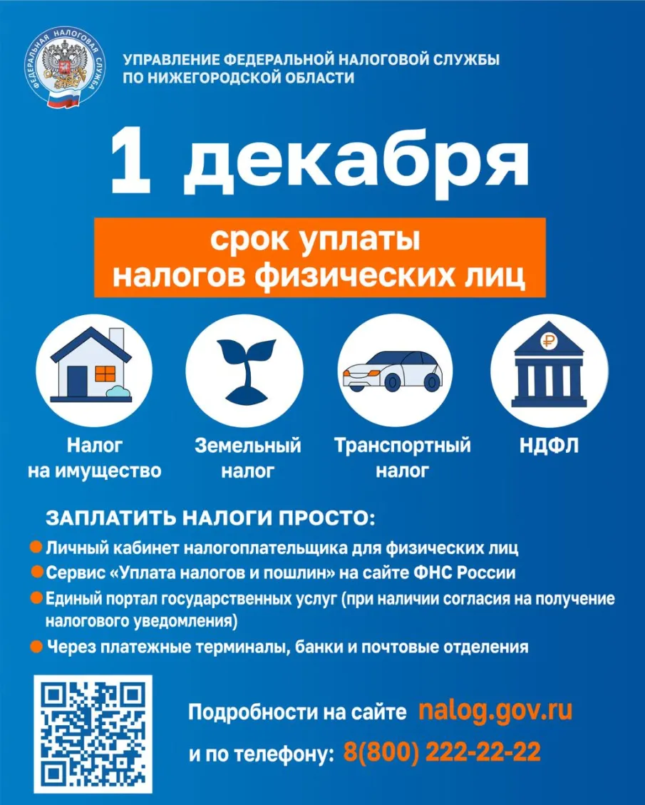Не забудьте оплатить имущественные налоги до 1 декабря