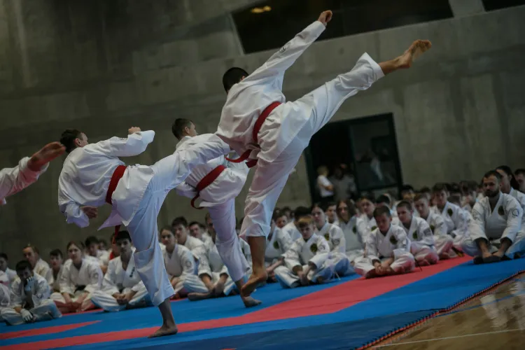 Сборная России завоевала 1 общекомандное место на Чемпионате и Первенстве мира по всестилевому каратэ