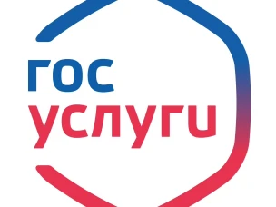 Услугами министерства спорта можно воспользоваться на Госуслугах