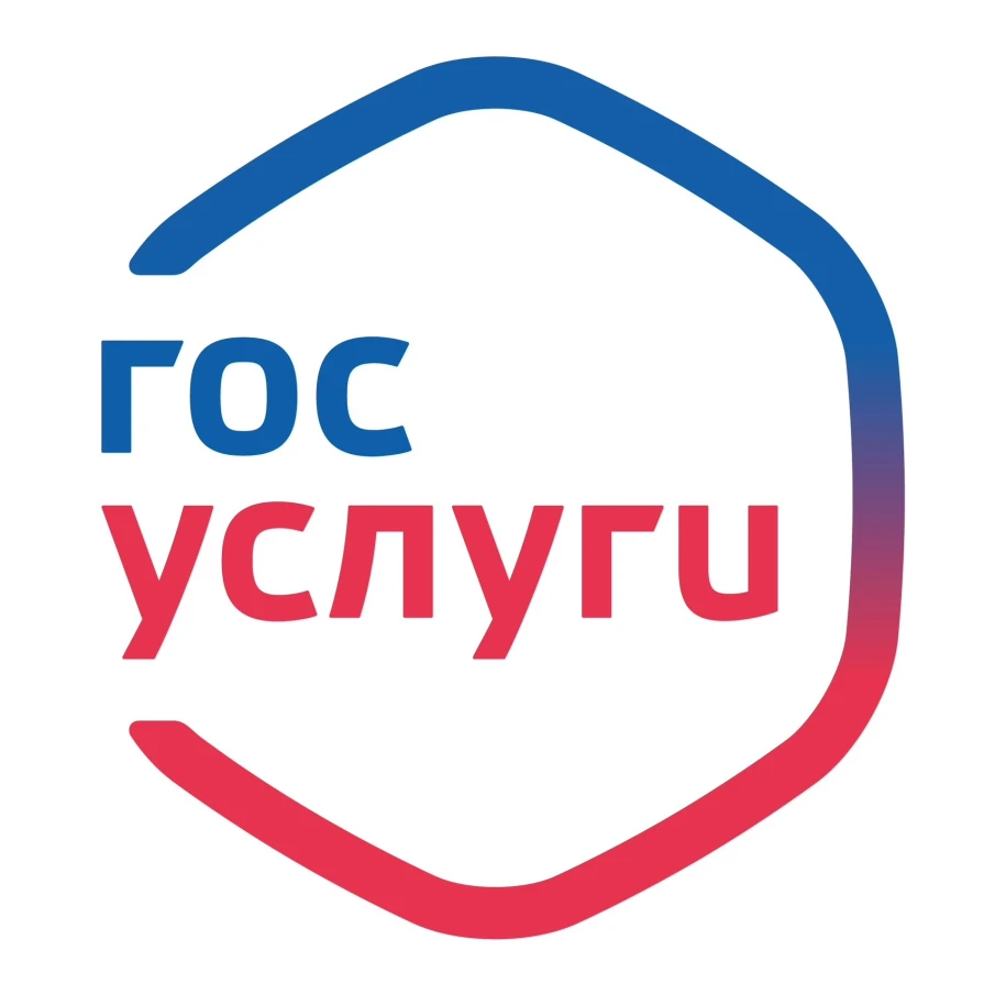 Услугами министерства спорта можно воспользоваться на Госуслугах