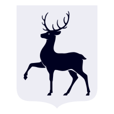 В Нижнем Новгороде прошел окружной спортивный форум «Мы вместе. Региональный аспект 2024. Поволжье»