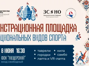 Демонстрационная площадка национальных видов спорта будет работать в Нижнем Новгороде 8 июня